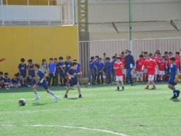 MIS Sports